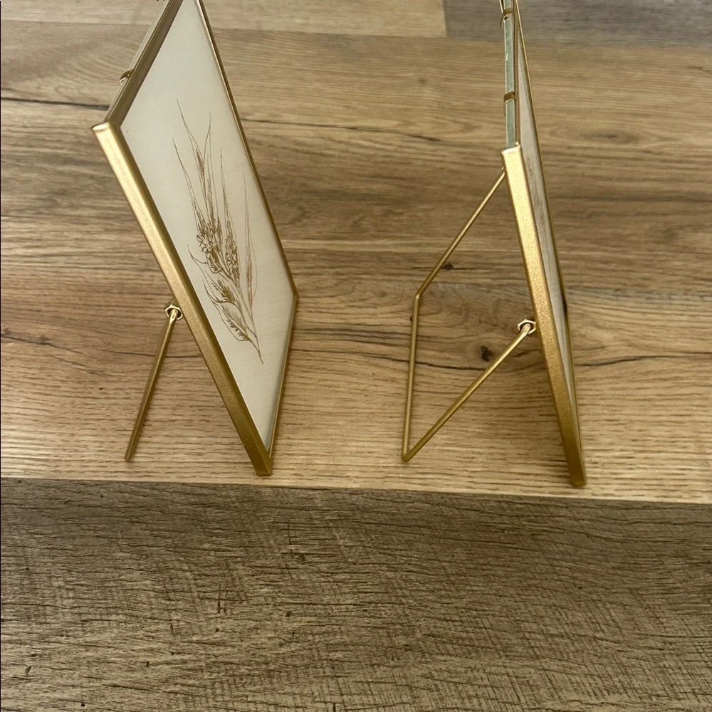 Anthropologie Gold Botanical Framed Prints